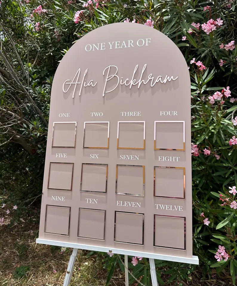 One Year of Baby Board, Acrylic Milestone Board, My First Year Sign, 1st Birthday Keepsake, Monthly Milestone Sign, First Birthday Decor